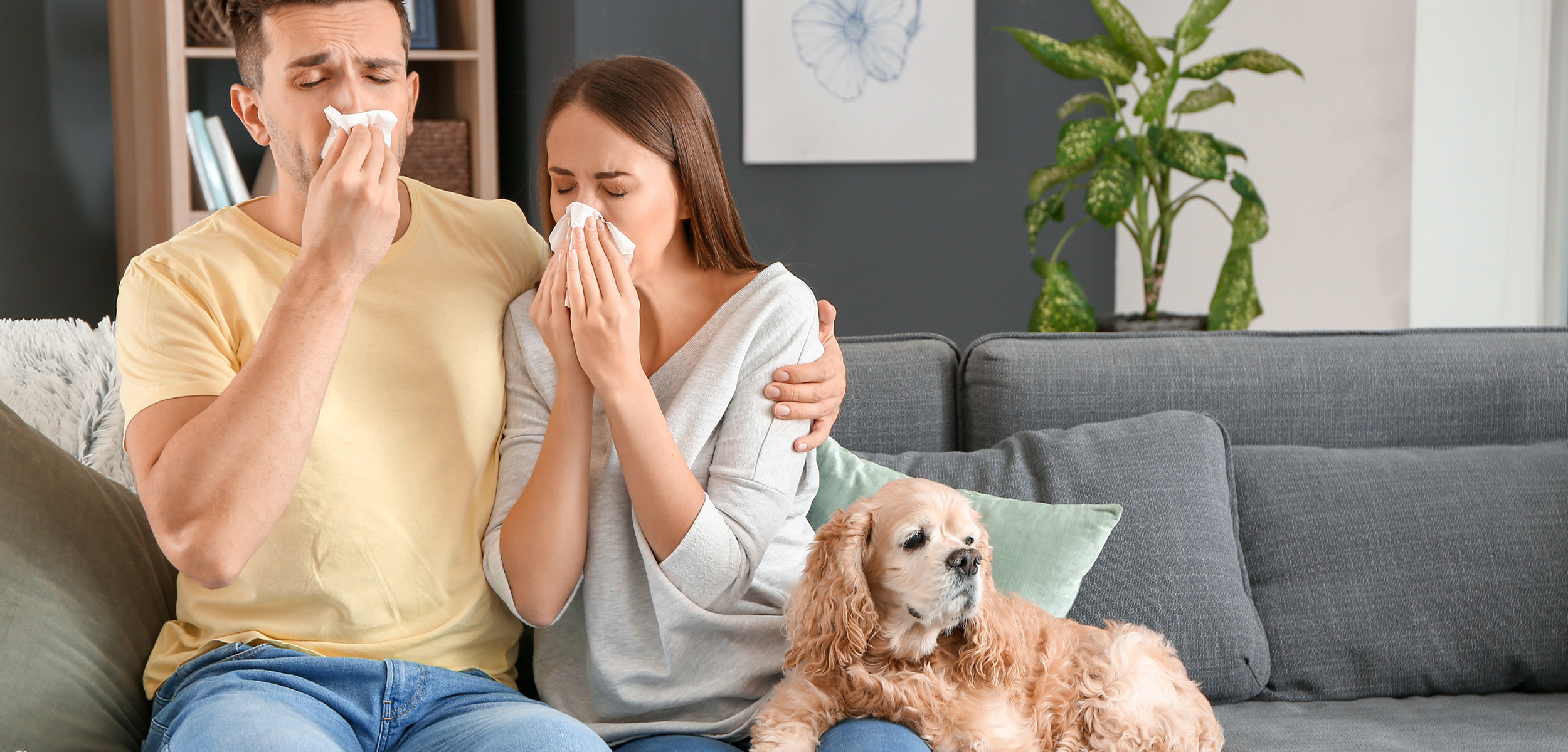 allergiebehandlung
